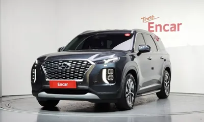 Hyundai Palisade · 2019 год
