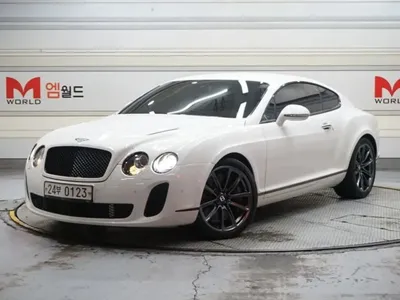 Bentley Continental · 2010 год