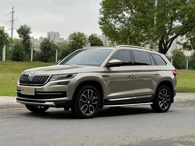 Skoda Kodiaq · 2020 год
