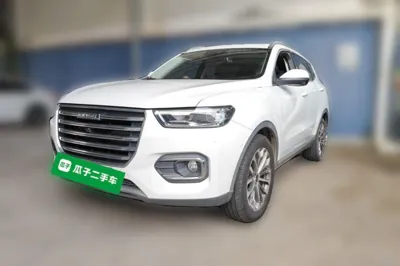 Haval H6 · 2020 год