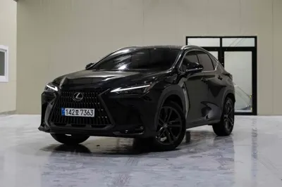 Lexus NX · 2025 год
