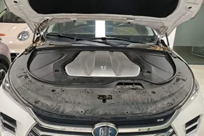 BYD Tang New Energy 2018, 23100 км, за 83791.77 CNY - фото 36