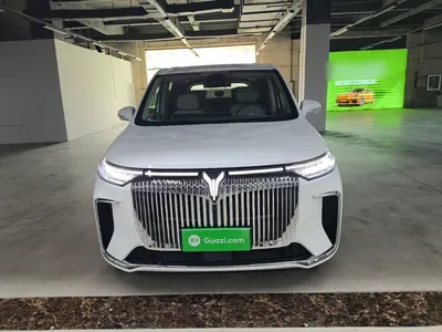 Voyah Dream 2025, 31400 км, за 266969.85 CNY