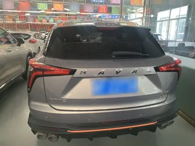Haval Shenshou 2022, 48800 км, за 71300 CNY - фото 10
