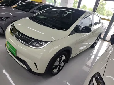 BYD Dolphin · 2023 год