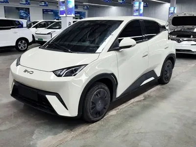 BYD Seagull · 2024 год