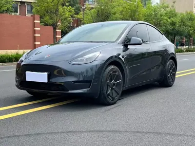 Tesla Model Y · 2025 год