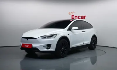 Tesla Model X · 2020 год