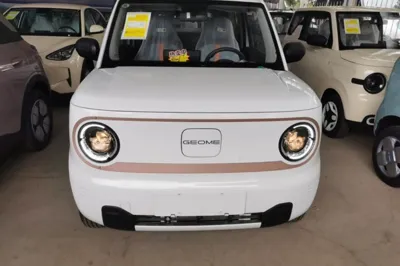 Geely Galaxy Panda 2024, 100 км, за 49679.56 CNY