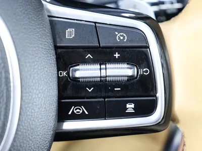 Kia Sorento 2021, 42865 км, за 30900000 KRW - фото 9