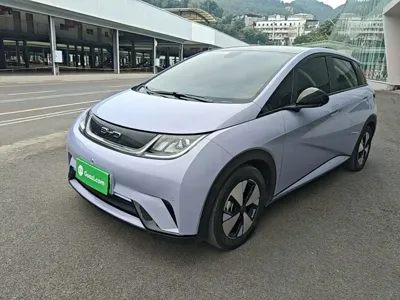 BYD Dolphin · 2023 год