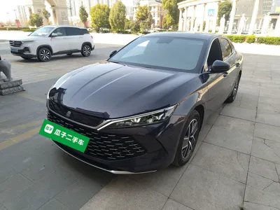 BYD Qin · 2024 год