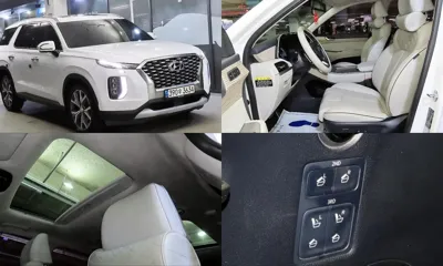 Hyundai Palisade · 2019 год