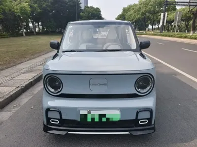 Galaxy Panda 2024, 23000 км, за 29800 CNY