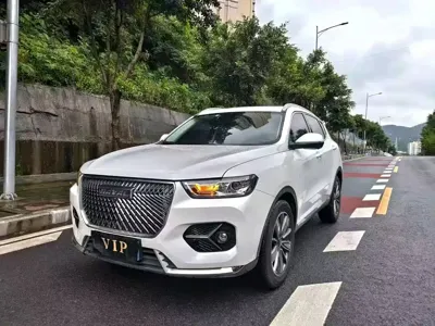 Haval H6 · 2021 год