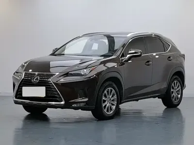 Lexus NX · 2019 год
