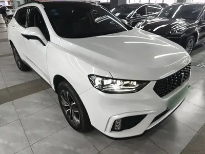 WEY Wey VV5 2020, 37100 км, за 44600 CNY