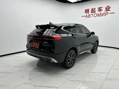 Haval H6 2023, 19000 км, за 88800 CNY - фото 9