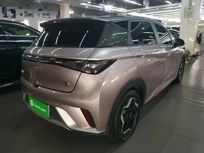 BYD Dolphin 2021, 87500 км, за 46800 CNY - фото 7