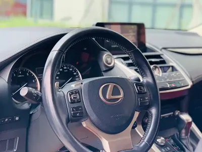 Lexus NX 2020, 117000 км, за 110000 CNY - фото 12