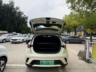 BYD Dolphin 2026, 100 км, за 73800 CNY - фото 9