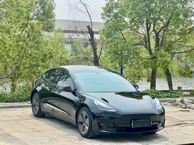 Tesla Model 3 2023, 99000 км, за 119800 CNY