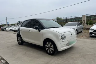ORA Black Cat 2019, 42100 км, за 50278.47 CNY