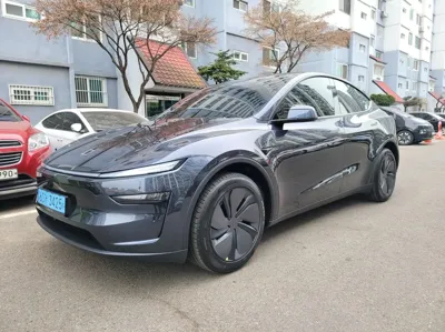 Tesla Model Y · 2026 год