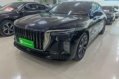 Hongqi H9 · 2024 год