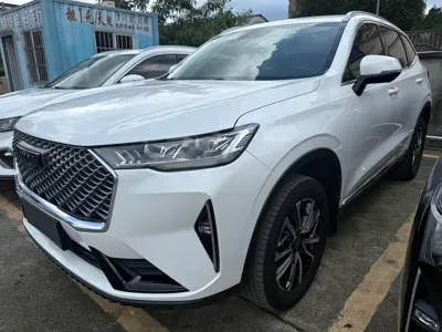 Haval H6 2021, 42000 км, за 44700 CNY - фото 1