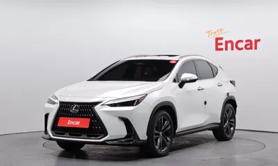 Lexus NX · 2025 год