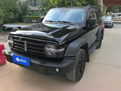 Tank Tank 300 · 2021 год