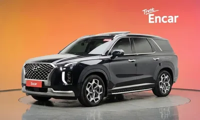 Hyundai Palisade · 2022 год