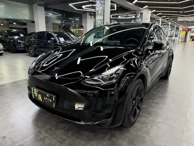 Tesla Model Y · 2022 год