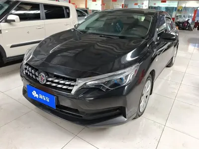 Venucia D60 · 2019 год
