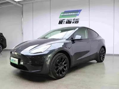 Tesla Model Y · 2024 год