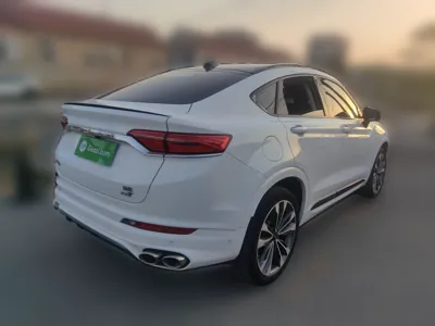 Geely Auto Monjaro 2020, 48800 км, за 59363.46 CNY - фото 6