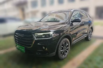 Haval H6 2021, 54100 км, за 78808.86 CNY - фото 1