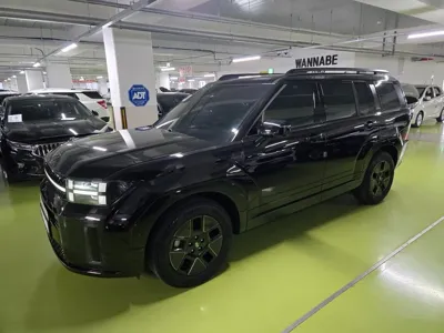 Hyundai Santafe · 2024 год