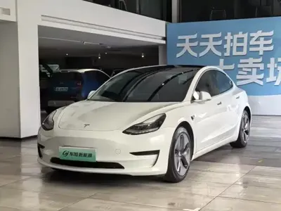 Tesla Model 3 2020, 66600 км, за 99900 CNY - фото 1