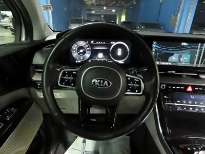 Kia Canival 2021, 103920 км, за 25500000 KRW - фото 9