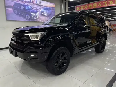 Tank Tank 400 New Energy · 2024 год