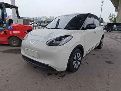 Wuling Bingo · 2023 год