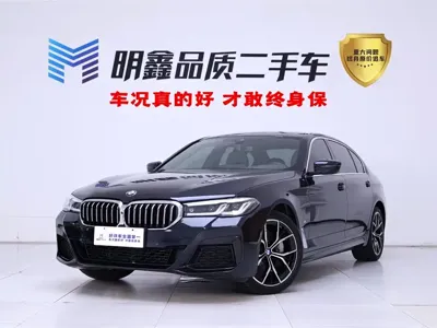 BMW 5 Series · 2024 год