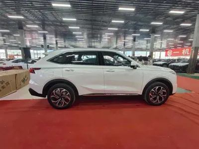 Haval Xiaolong Max 2025, 100 км, за 118800 CNY - фото 6