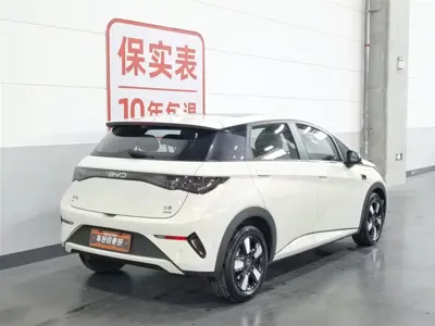 BYD Dolphin 2025, 23400 км, за 75800 CNY - фото 2