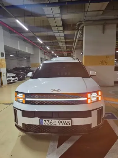 Hyundai Santafe · 2024 год