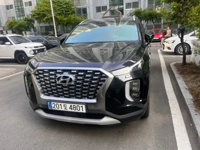 Hyundai Palisade · 2019 год