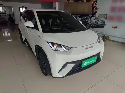 BYD Seagull 2024, 12300 км, за 46500 CNY - фото 4