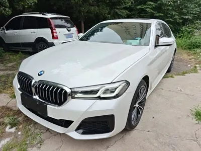 BMW 5 Series · 2023 год